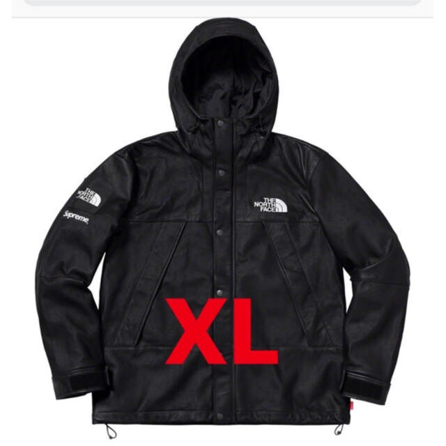 Supreme Leather Mountain Parka