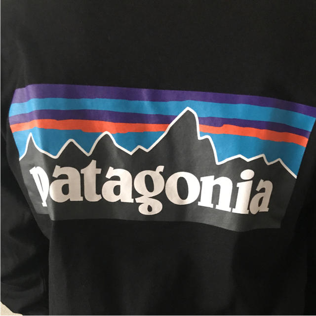 patagonia(パタゴニア)のPatagonia パタゴニア メンズのトップス(Tシャツ/カットソー(半袖/袖なし))の商品写真