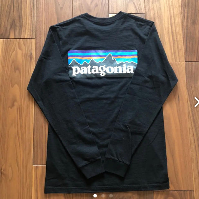patagonia(パタゴニア)のPatagonia パタゴニア メンズのトップス(Tシャツ/カットソー(半袖/袖なし))の商品写真