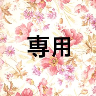 ERr様 専用(青汁/ケール加工食品)