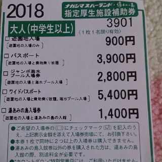 ナガシマスパーランド　補助券