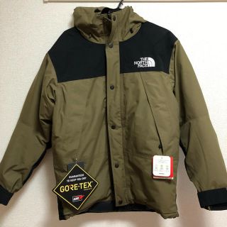 ザノースフェイス(THE NORTH FACE)のノースフェイス (ダウンジャケット)