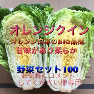 低農薬 野菜セット 100  お気軽に…様専用(野菜)