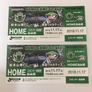 第42節 松本山雅ＶＳ徳島ヴォルティス ホーム自由席 チケット(サッカー)