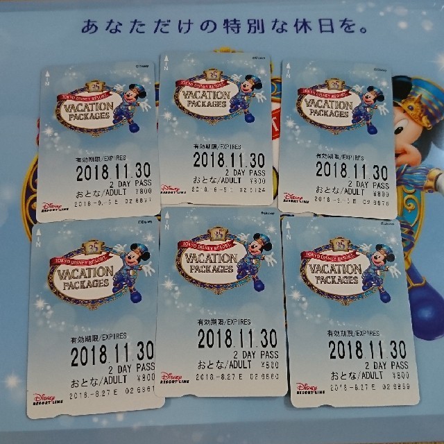 ディズニーリゾートライン2daypass 6枚