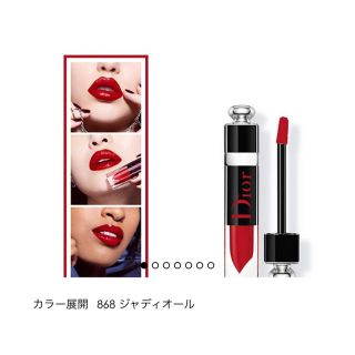 ディオール(Dior)のDior アディクトプランプラッカー 868(口紅)