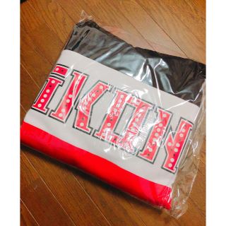 アイコン(iKON)の iKON プルオーバーパーカー(アイドルグッズ)