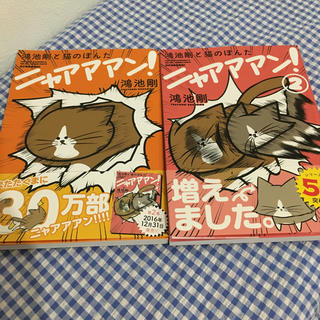 カドカワショテン(角川書店)の【癒し】猫のぽんたニャアアアン！★鴻池剛(その他)