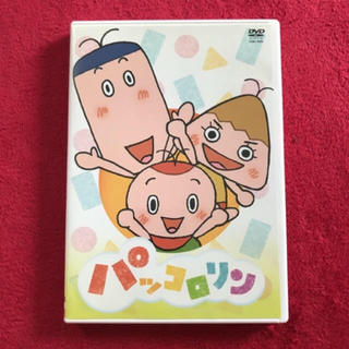 美品 パッコロリン DVD(キッズ/ファミリー)