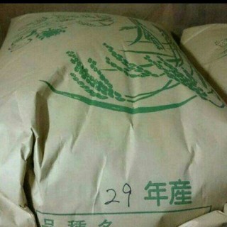 コシヒカリ 30㎏ 玄米 29年度 お米(米/穀物)
