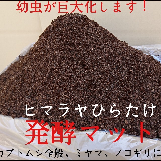 りょーた様専用 ヒマラヤひらたけ発酵カブトムシマット 80リットル 送料込み その他のペット用品(虫類)の商品写真