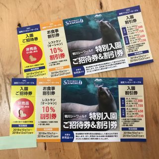 専用出品 鴨川シーワールド チケット 2枚(水族館)