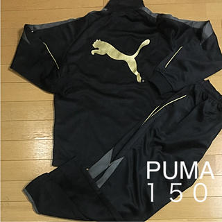 プーマ(PUMA)のプーマ ジャージ上下 セットアップ 150㎝ 新品 ジュニア(ジャケット/上着)