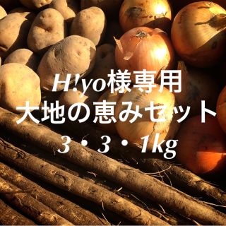 北海道とかちニシボふぁ〜む 詰め合わせセット『大地の恵み』3・3・1kg(野菜)