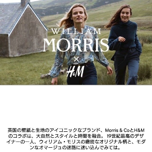H&M(エイチアンドエム)のウィリアムモリス♡H&M マキシワンピース 36 レディースのワンピース(ロングワンピース/マキシワンピース)の商品写真