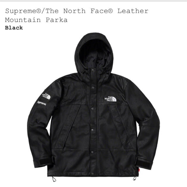 Supreme(シュプリーム)の supreme north face レザー マウンテン サイズs  メンズのジャケット/アウター(マウンテンパーカー)の商品写真