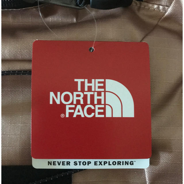 Supreme(シュプリーム)のSupreme The North Face Metallic Backpack メンズのバッグ(バッグパック/リュック)の商品写真