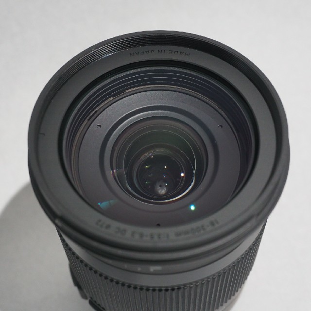 SIGMA 18-300mm F3.5-6.3 DC MACRO HSM