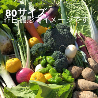 低農薬 野菜セット 80(野菜)