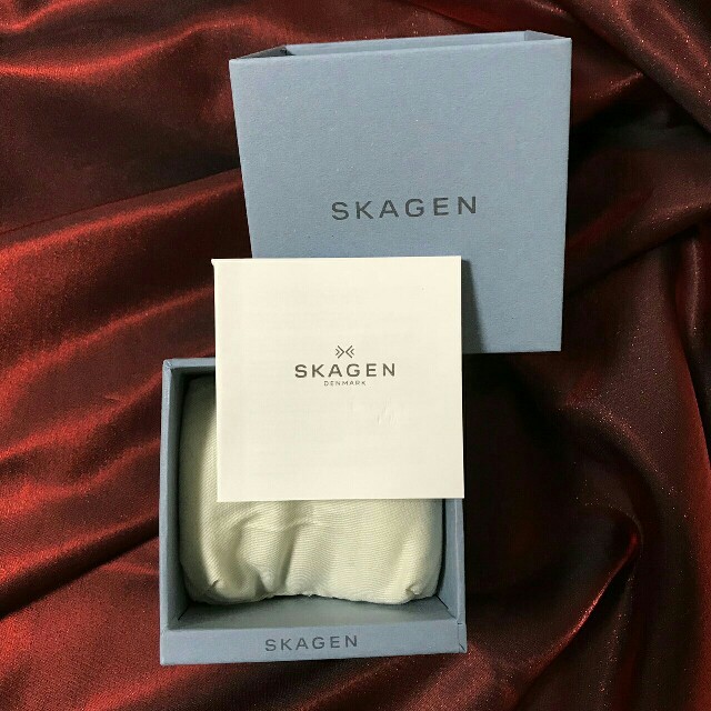 SKAGEN(スカーゲン)の大人気！ ✨　廃盤モデル　◆SKAGEN《スカーゲン》腕時計　レディース レディースのファッション小物(腕時計)の商品写真