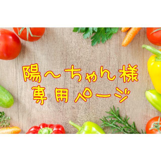 ★陽～ちゃん成人式用のバック探してます様専用ページ 食品/飲料/酒の食品(野菜)の商品写真