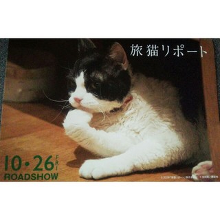 コウダンシャ(講談社)の旅猫リポート☆映画★フライヤー☆Twitter募集広告ポストカードサイズ(印刷物)