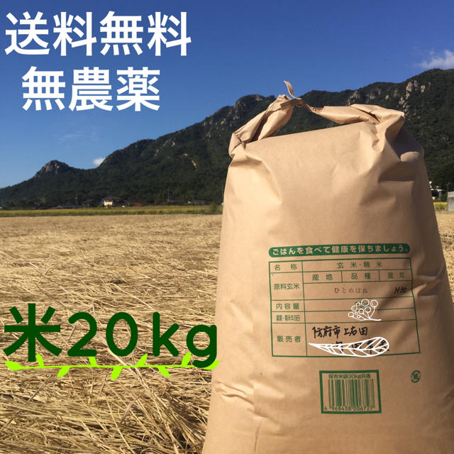 【送料無料】山口県産米 無農薬 ひとめぼれ 20kg米/穀物