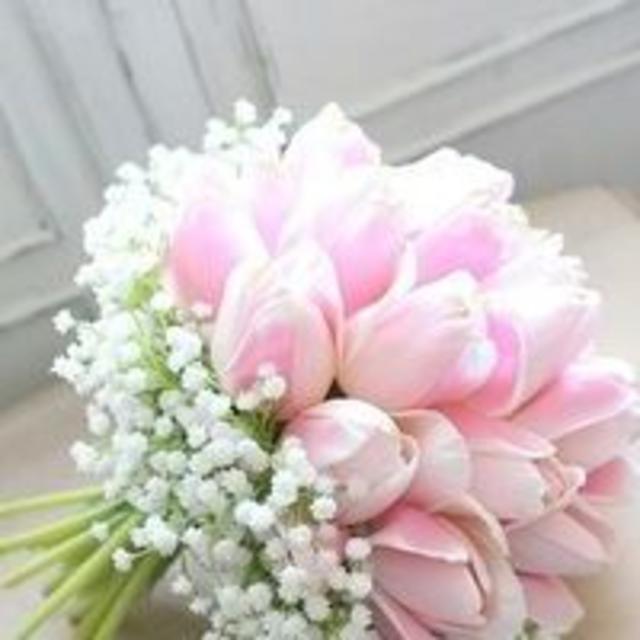 サイファ様 その他のその他(その他)の商品写真