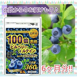 ビルベリー＆ルテイン サプリ 360粒 6ヶ月分♪(その他)