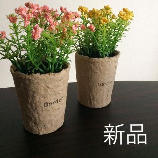 新品 未使用 2個セット価格 観葉植物 造花 ガーデン ガーデニング フラワー(置物)