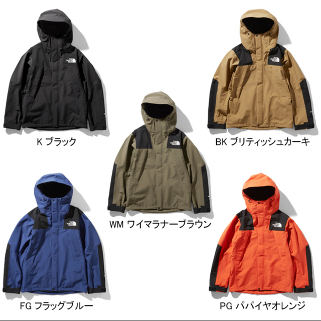 THE NORTH FACE(ザノースフェイス)のノースフェイス ゴアテックス メンズのジャケット/アウター(マウンテンパーカー)の商品写真