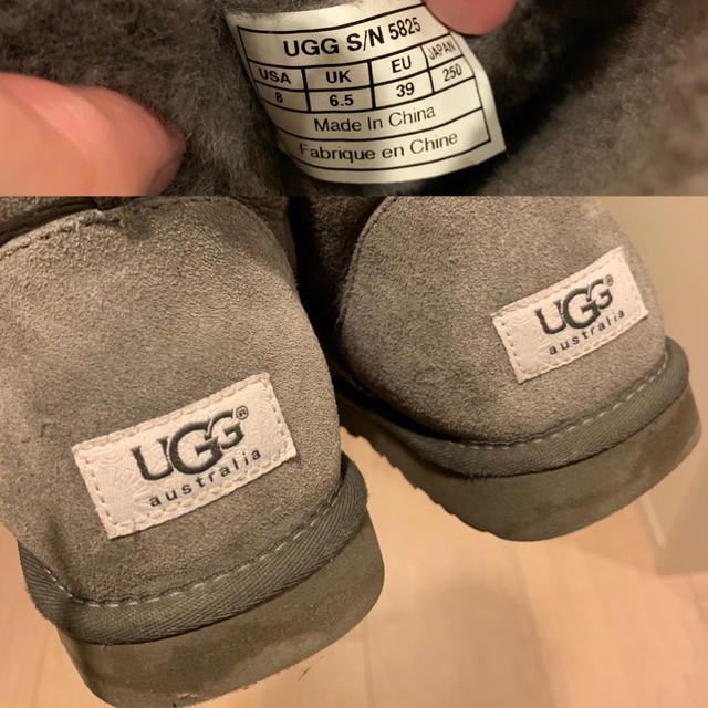 UGG(アグ)のUGG クラシックショート グレー サイズ8 レディースの靴/シューズ(ブーツ)の商品写真