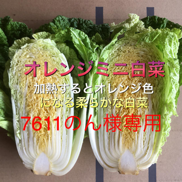 野菜セット 80 専用出品 食品/飲料/酒の食品(野菜)の商品写真