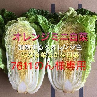 野菜セット 80 専用出品(野菜)