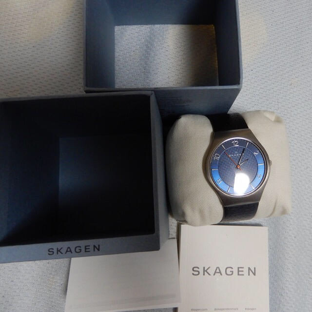 SKAGEN(スカーゲン)のSKAGEN 腕時計 大特価 メンズの時計(腕時計(アナログ))の商品写真