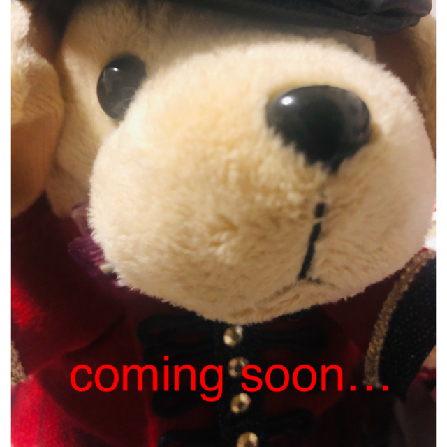 最高品質の ナポレオン+フラッグ確認用♡...*゜⚠️購入意思再確認してます⚠️※受付終了※ その他 最高品質の ナポレオン+フラッグ確認用♡...*゜⚠️購入意思再確認してます⚠️※受付終了※ その他