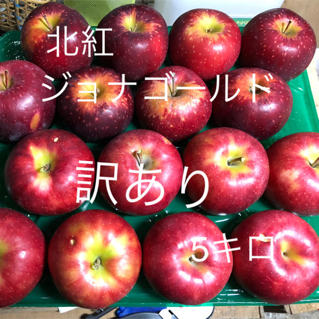 青森りんご ジョナゴールド 北紅 訳ありりんご 5キロ 送料込 食品/飲料/酒の食品(フルーツ)の商品写真