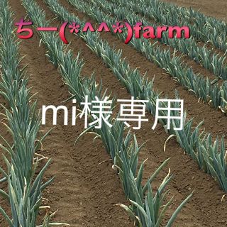 野菜セット60&九条ねぎ(野菜)