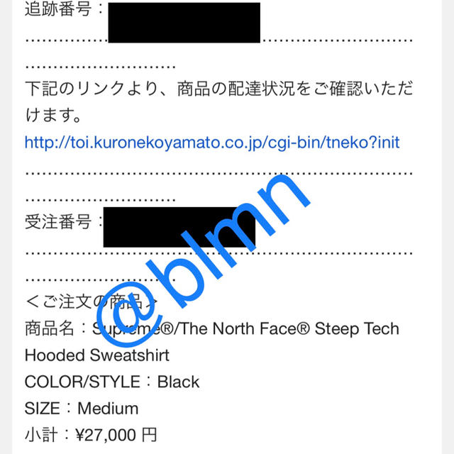 Supreme(シュプリーム)のSupreme The North Face Steep Tech Hooded メンズのジャケット/アウター(マウンテンパーカー)の商品写真