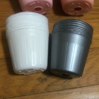 ポリポット 育苗 種まき プラスチックポット(その他)