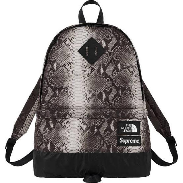 値下げ supreme the north face snakeskin