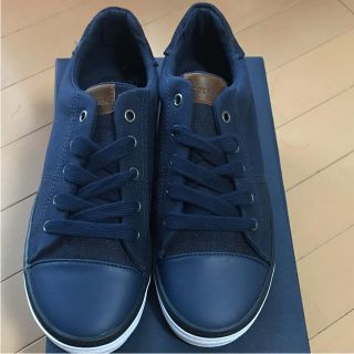 コールハーン(Cole Haan)のコールハーンスニーカー（╹◡╹）24cm新品(スニーカー)