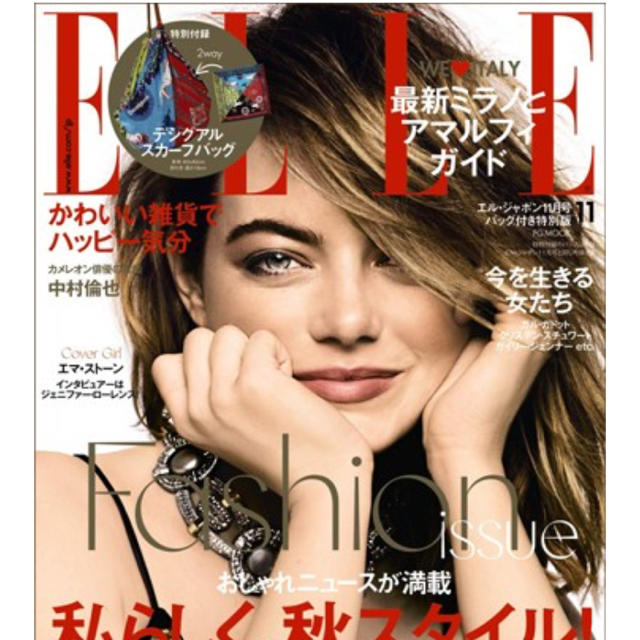 DESIGUAL(デシグアル)のELLE スカーフバッグ 雑誌 付録 レディースのファッション小物(バンダナ/スカーフ)の商品写真