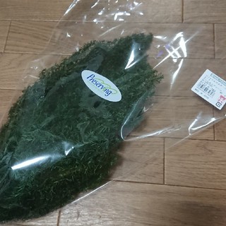 ソフトヒムロスギ ショート☆フォレストグリーン 1袋60g(プリザーブドフラワー)