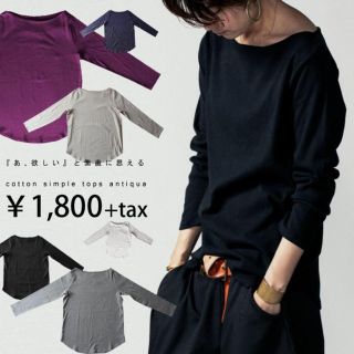 アンティカ(antiqua)の新品 未開封  大人気 ベーシックボートネックロンT ネイビー(Tシャツ(長袖/七分))