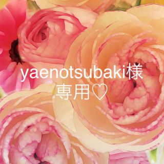 yaenotsubaki様専用♡(リング)