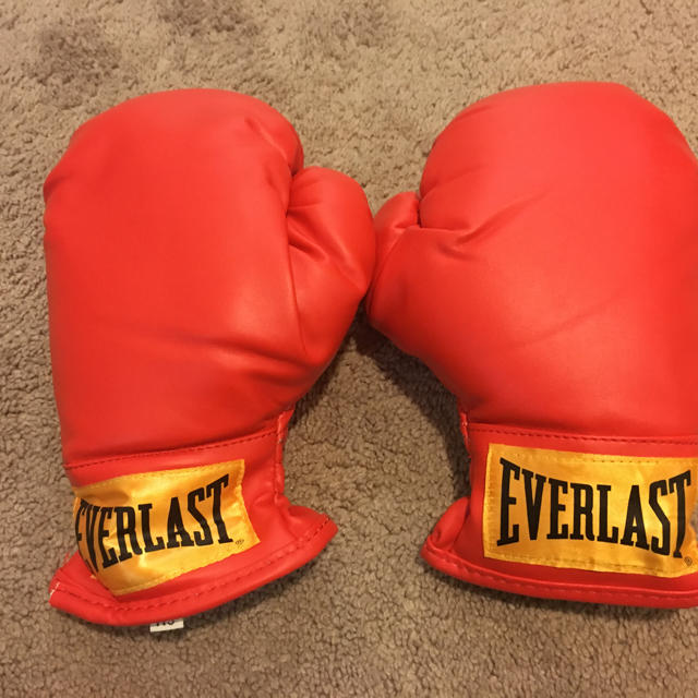 EVERLAST(エバーラスト)のEVERLAST  グローブ スモール スポーツ/アウトドアのスポーツ/アウトドア その他(ボクシング)の商品写真