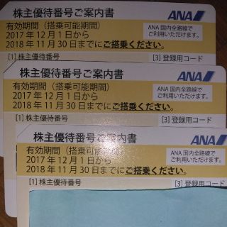 エーエヌエー(ゼンニッポンクウユ)(ANA(全日本空輸))のANA 株主優待券(その他)