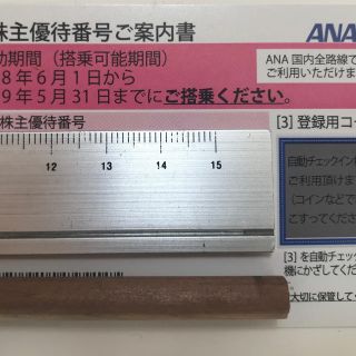 エーエヌエー(ゼンニッポンクウユ)(ANA(全日本空輸))のANA 株主優待割引券(その他)