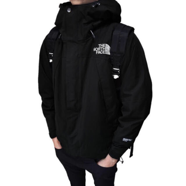 THE NORTH FACE(ザノースフェイス)のTHE NORTH FACE NP15105 M gore tex ゴアテックス メンズのジャケット/アウター(マウンテンパーカー)の商品写真